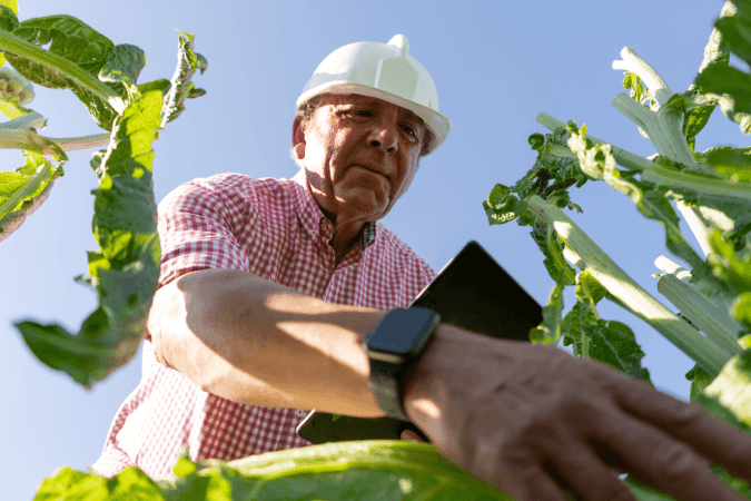 Engenharia agronômica: 7 áreas de atuação que ultrapassam o trabalho no campo